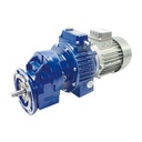 [N62-127-561] VH 002/063A32 I6.52 PAM63 B5 helical gearbox with speed variator Motovario (speed variator,  2,  PAM,  63,  B5,  foots,  VH)