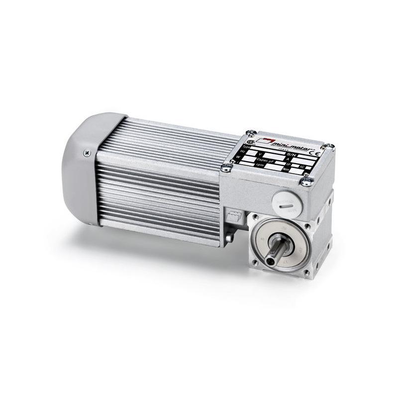 BC 200024MP-25 motoreduktor ślimakowy Minimotor