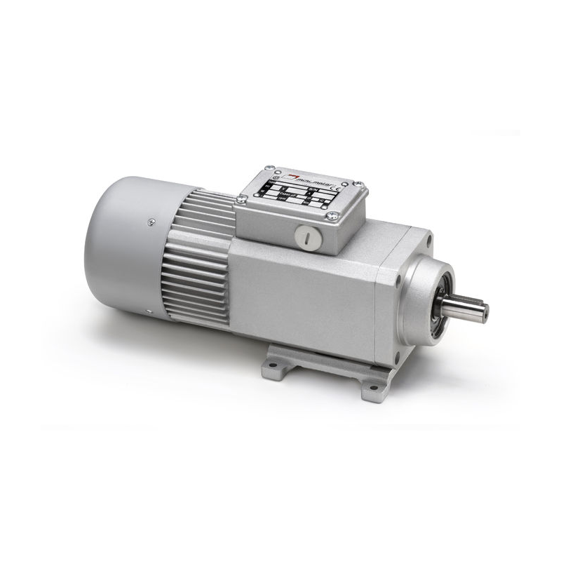 PA 260M2T I=14.12 B5 coaxial geared motor Minimotor