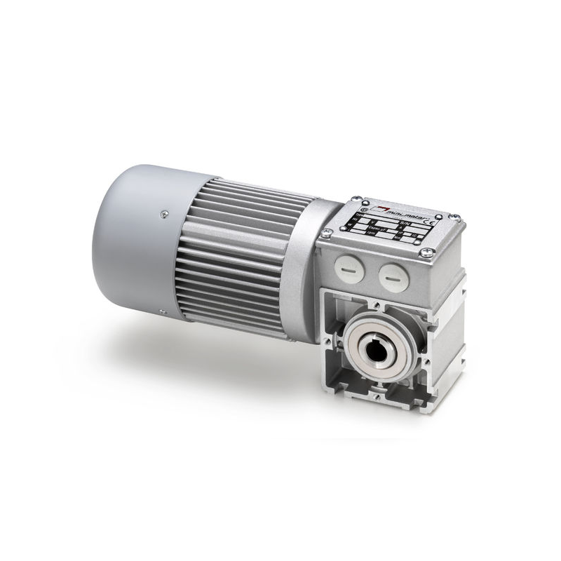 PC 440M3T I=100 B3 worm gear motor Minimotor