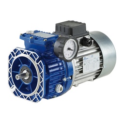 [N62-127-365] SRT 020/80/2 I28.81 1.5 kW motospeed variator with helical gearbox Motovario