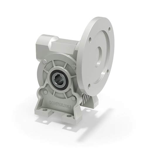 [N20-141-613] VFR 44/V-100 S44 worm-helical gearbox Bonfiglioli 