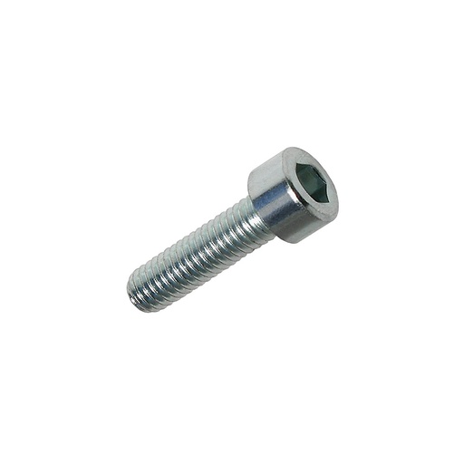 [M02-162-073] D09121225 M12x25 SHCS screw (D09121225)