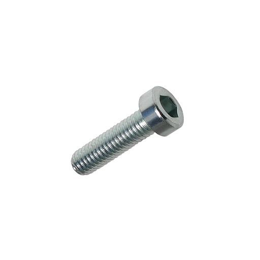 [M02-162-158] D69121025 M10x25 SHCS screw (D69121025)