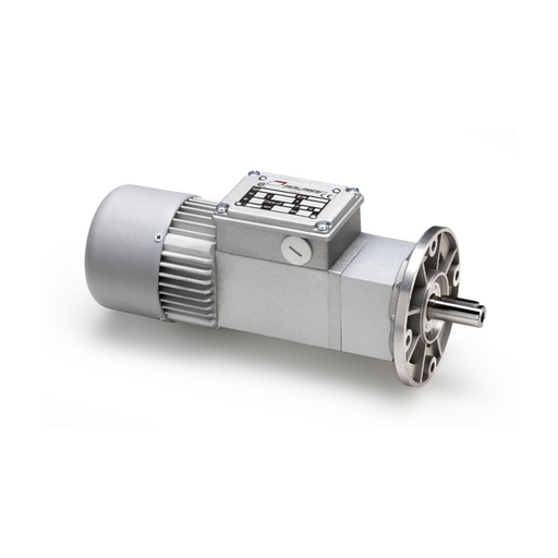 [N42-253-305] ACE 80P I=213 B3 helical gear motor Minimotor (ACE 80P I=213 B3)