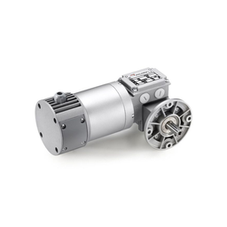 [N45-259-579] MCCE 24MP3N-37.5 B5/D worm gear motor with planetary reduction gear Minimotor [MCCE - 24MP3N 37.5 B5/D ]